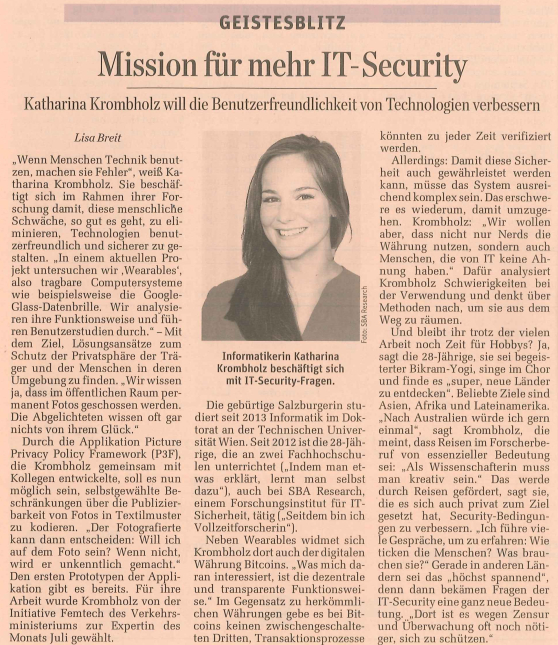 DerStandard newspaper article